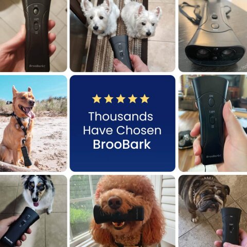 BrooBark image